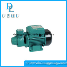 Peripheral Clean Water Pump/ Vortex Pump